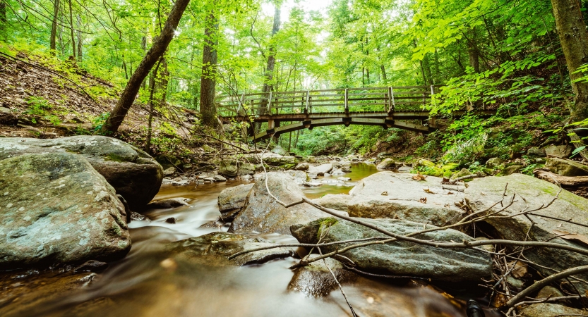 A creek framed by boulders passes through a green wooded area. There is a bridge in the background. 